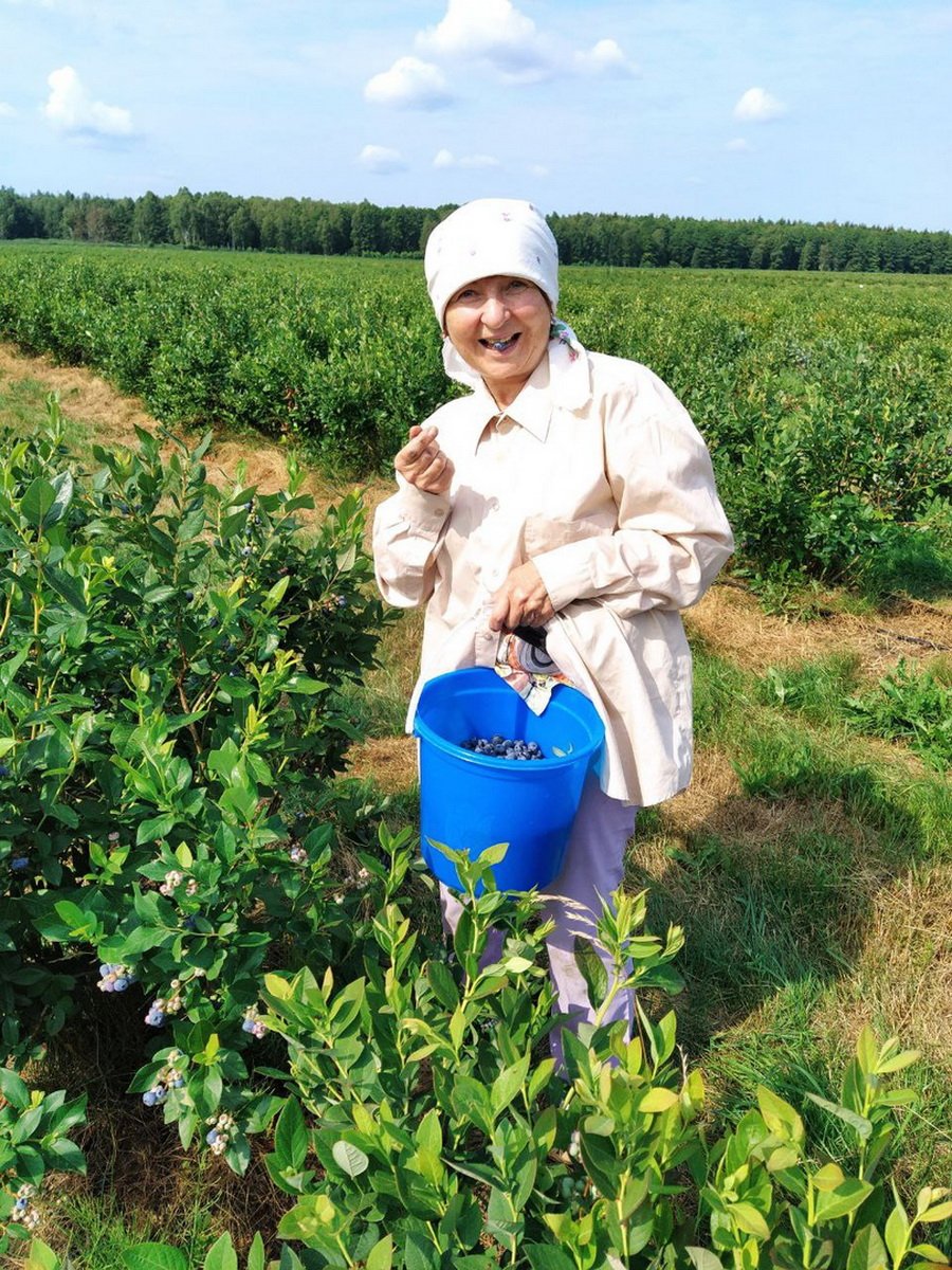 Заголовок