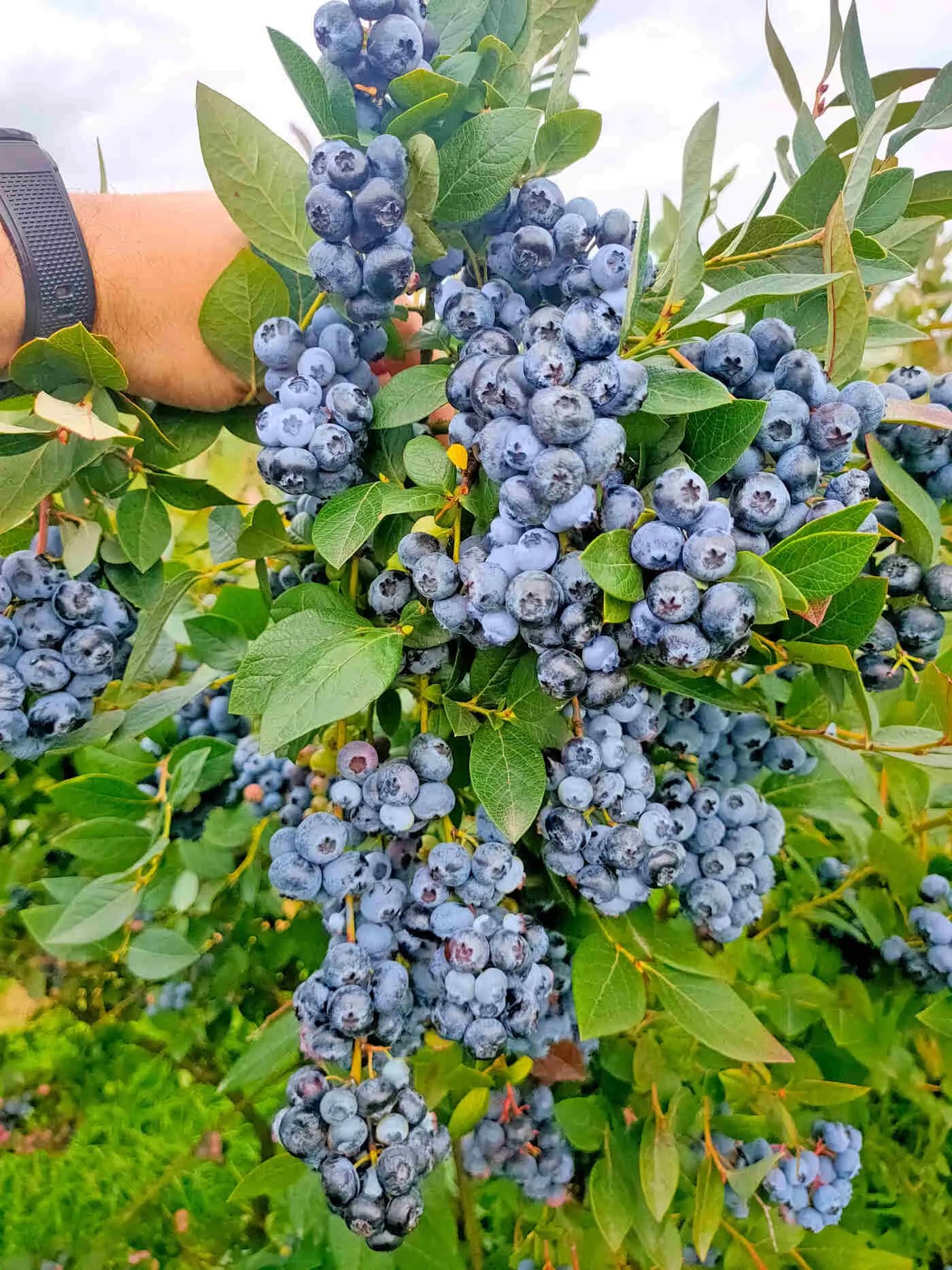 Заголовок
