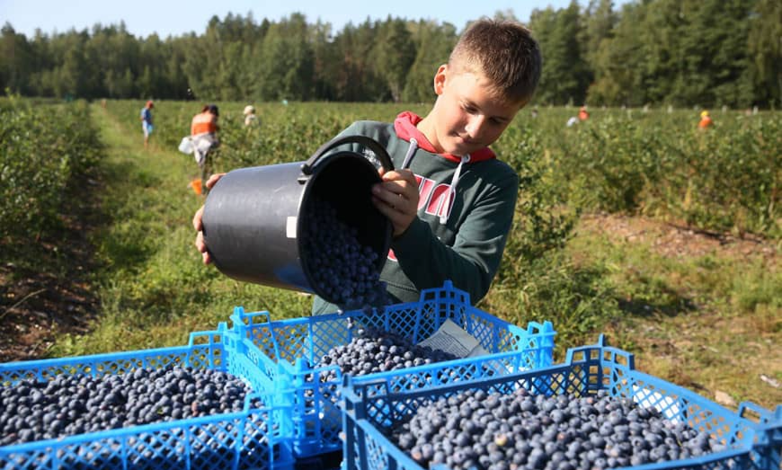Заголовок